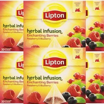 Lipton Pirmide Infusin Enchanting 립톤 라즈베리 블루베리 인퓨전 과일차 허브티 20티백 6팩