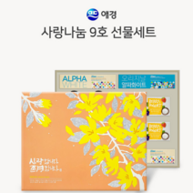 TORIMALL 애경 사랑나눔9호 알뜰 선물세트 추석 설 회사 명절선물, 애경 9호 1세트