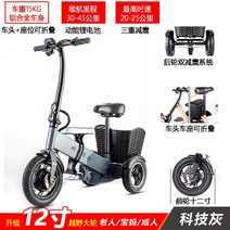 삼륜전기자전거 배달전기자전거 세발 3륜 미니 12 인치 휴대용 접이식 부모- 미니 3 륜 리튬 배터리 전기, 01 g호환용 35-45km, 한개옵션1