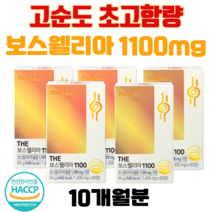 닥터루템 더 보스웰리아 고순도 초고함량 1100mg AKBA + KBA 함유 무부형제 가성비 보스웰리아, 5개