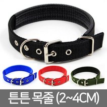 브라더펫 대형견 중형견 강아지 튼튼 목줄 진돗개 대형견목줄 중형견목줄, 블루