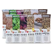 구포국수 310gx12개(박스x) 소면 중면 콩국수 칼국수, 1개, 310g