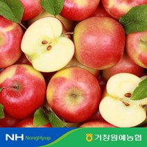 [거창원예농협] 거창 실속 부사사과 10kg 32-40내 중과
