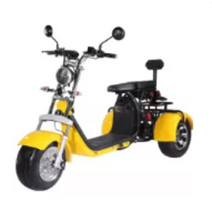 고급형 3륜 3휠 전기 스쿠터 전기자전거 노약자 장애인용 전동차, WHITE