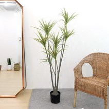 고급 인조나무 조화화분 드라세나 마지나타 160cm, 없음