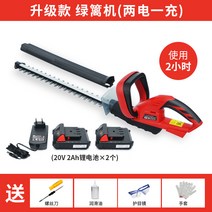 전기 무선 충전식 가지치기 트리머 울타리 정원 1, 가정20V리튬2A 배터리 (2시간 사용 가능)