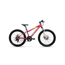 HEAD Sporco 주니어 산악 자전거(20 및 24인치 블루 핑크), Pink, 24 inch, 24 inch