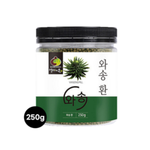 와송 환 자연산 바위솔 250g