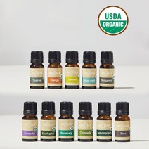 쏘이지 천연 유기농 에센셜 아로마 오일 10ml, 티트리