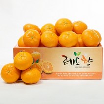 (롯데백화점)(넉넉) 제주 레드향 25KG 소과(13과-16과) 귤/감귤보다 레드향