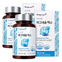 마그네슘 맥스 산화마그네슘 부모님선물 90정 x 2병