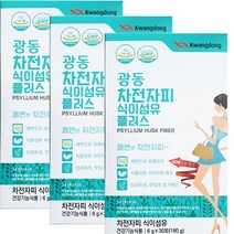 광동 차전자피가루 식이섬유 분말 차전차피 가루 효능 숙변제거 30포 3개, 광동 차전자피 식이섬유 30포 3박스
