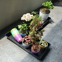 직사각 모종용 모판 받침판 트레이 삽목상자 판받침대 식물 육묘상자 물빠짐, 펭귄마켓 본상품선택