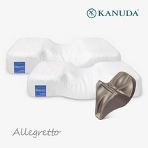 가누다베개 알레그레토 더블세트(베개2+머리냅) 경추베개, S+S