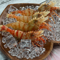 [어선 단독 직거래] 독도 닭새우 300g 500g