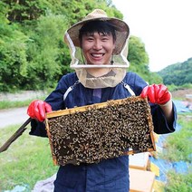 천연 벌꿀 아카시아꿀 야생화꿀 (잡화꿀) 밤꿀 꽃따라꿀따라, 1kg, 1개, 1kg (튜브형)