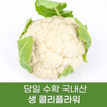 산지직송 국내산 생 콜리플라워, 컬리플라워 1kg