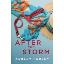 (영문도서) After the Storm Paperback, Ahf Publishing, English, 9781956684162