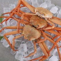 죽도시장 자숙 연지홍게 3kg 9-13마리, 03.자숙 연지홍게 정품(수율80%) 3kg