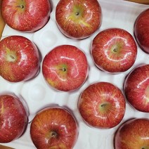 장수사과 5kg (13~14과) 특품 고당도 햇부사 장수부사 선물용 가정용 제수용, 특품 5kg (13~14과) 1상자