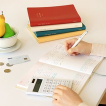 딱좋은 만년 가계부 캐시북, 밀키옐로우