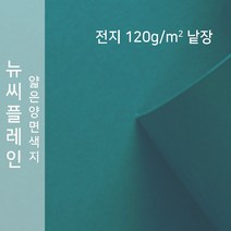 뉴씨플레인 종이문화 얇은 양면색지 120g 전지 낱장 1매 No.63 청록, 1장