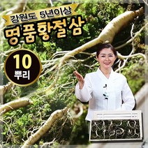 강원도 명품 황절삼 5년근 인삼, 본품 5뿌리+5뿌리