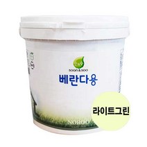 순앤수 베란다용페인트 2L 무광 친환경 다용도실 벽면, 라이트그린, 1개