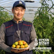 부산대저토마토 2kgX2박스(M S중 랜덤), 2개