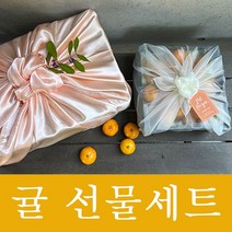 고당도 제주감귤 귤 선물세트 감사한 마음을 선물하세요, 2kg