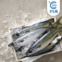 냉동제주 고등어 2kg (중14팩팩당150g내외) -인증