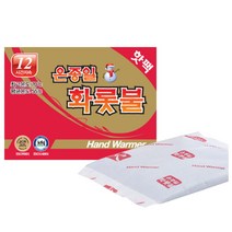 온종일화롯불 핫팩 포켓형 80G 22년 최신생산, 50개