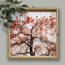 da378-우드프레임액자_재물이주렁주렁감나무, 6.재물운높여주는감나무