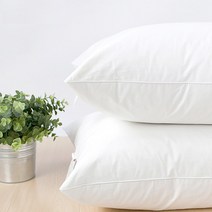 나다니엘 오리털 특급호텔 덕다운50% 베개솜 50x70 베개커버증정