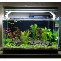 [라라아쿠아]라라 수초어항 풀세트 350 (가로 35 x 폭 22cm), 단일속성