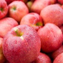 FUNET 가정용 부사 홍로 사과 3kg 5kg 8kg, 1박스, 08_부사사과 소과 5kg