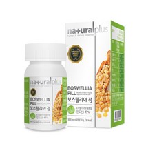 내츄럴플러스 보스웰리아 500mg x 60정 관절통증 관절염 도움 몸 속 염증 제거 암 예방 및 개선, 1박스