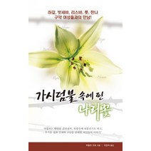 가시덤불 속에 핀 나리꽃:하갈 밧세바 리스바 룻 한나 구약 여성들과의 만남, 솔라피데출판사