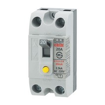 상도 누전차단기 ELB SIE-32H A 2P 15~30A 산업용 분전반 차단기, 20A