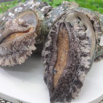 전복맛들 더 싱싱한 참전복 ~25미1kg 손질칼증정 싱싱비법포장, 단품