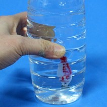물고기 잠수함만들기 부력의원리실험 10인세트