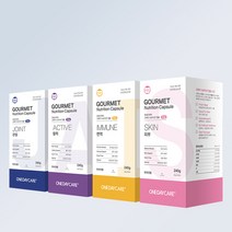 뉴트리나 원데이케어 고메이캡슐 뉴트리션4종, 액티브 활력, 1개