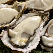 산지직송 통영 생굴 석화 굴 각굴 하프셀 삼배체굴 하프쉘 반각굴 세척 대굴 1kg 3kg 5kg, 4.삼배체굴1kg, 1개