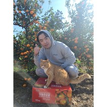 봉범이네 귤농장 귤5kg 귤10kg 햇귤 불로초감귤 불로초귤 서귀포귤 조생귤 노지귤 못난이귤 저농약귤, 1, 존맛탱 불로초(혼합) 10kg