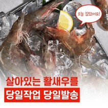 당일작업) 국내산 무항생제 활새우 25미 내외, 3kg, 1개