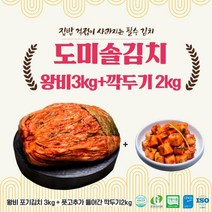 eTV 도미솔 김치 2종세트5kg (왕비포기3kg깍두기2kg), 1