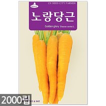 얼룩이 강낭콩 씨앗 70립 - 씨 강낭콩씨 강낭콩씨앗 콩씨 콩씨앗 강남콩씨앗 주말농장 텃밭, 02_노랑당근(2000립)