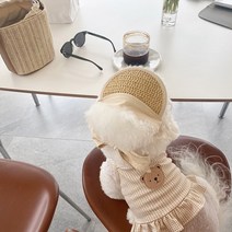 다이개 강아지 곰돌이 드레스옷 산책옷 실내복 원피스
