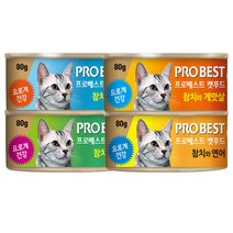 프로베스트 캔 4종혼합 80g x24개