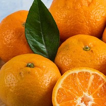 도봉물산특가_[국내산] 영화청과 특급 제주도귤 1.5kg 청 만들기 노지, 1, 본상품선택